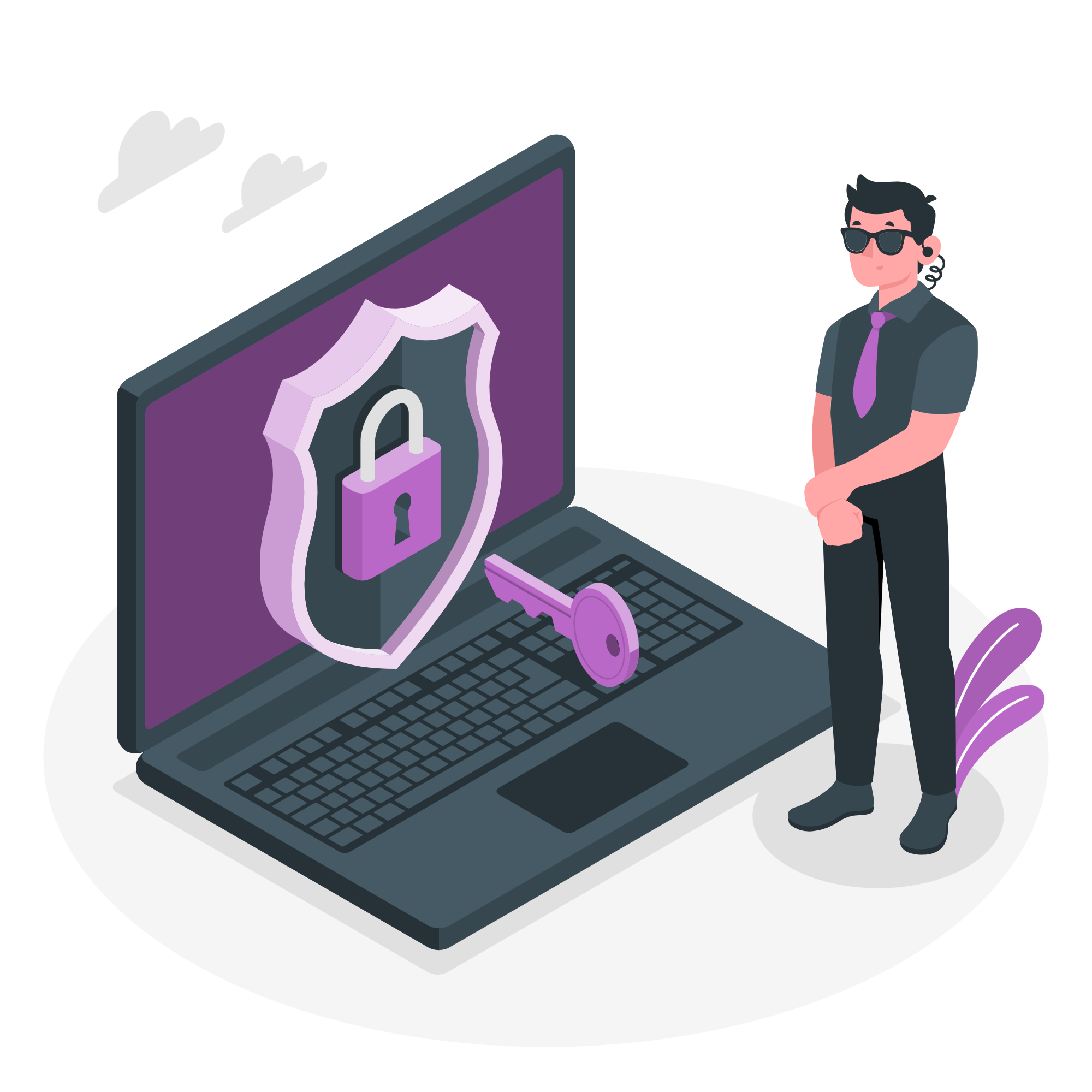 Secure website